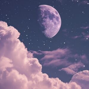 Meet your Posher, Mckenna